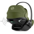 Cybex Cloud G3 PLUS Babyskydd Moss Green i gruppen Bilbarnstolar / Varumärken / Cybex hos Bonti (CYBE526001818)