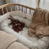 Elodie Babynest Monkey Sunrise i gruppen Babytillbehör / Sova / Babynest och sovstöd hos Bonti (ELOD70225104400NA)