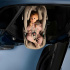 Maxi-Cosi Pebble Slide Pro Sapphire Sand i gruppen Bilbarnstolar / Babyskydd hos Bonti (MACO8442128110)