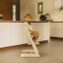 Stokke Tripp Trapp Stol Vanilla White i gruppen Möbler och inredning / Matstolar och tillbehör / Stokke Tripp Trapp hos Bonti (STOK100142)