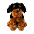 Teddykompaniet Teddy Hund Brun i gruppen Leksaker / Gosedjur och snuttefiltar / Gosedjur hos Bonti (TEKO12801)