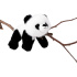 Teddykompaniet Soft Squad Panda Svart/Vit i gruppen Leksaker / Gosedjur och snuttefiltar / Gosedjur hos Bonti (TEKO4358)