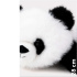 Teddykompaniet Soft Squad Panda Svart/Vit i gruppen Leksaker / Gosedjur och snuttefiltar / Gosedjur hos Bonti (TEKO4358)